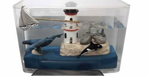 �ձ�͸���RͰ������