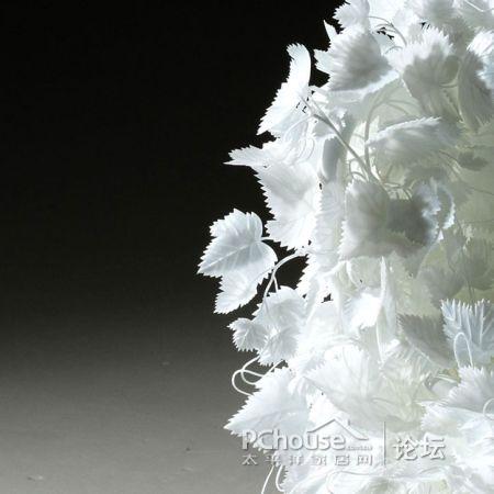 ���׵Ę�(sh��)�~�����Є�(chu��ng  )�⵫�ܹª�