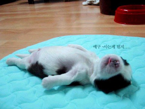 �H�������˯һС�r(sh��)����