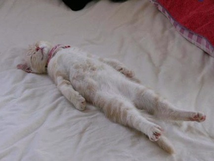 �H�������˯һС�r(sh��)����