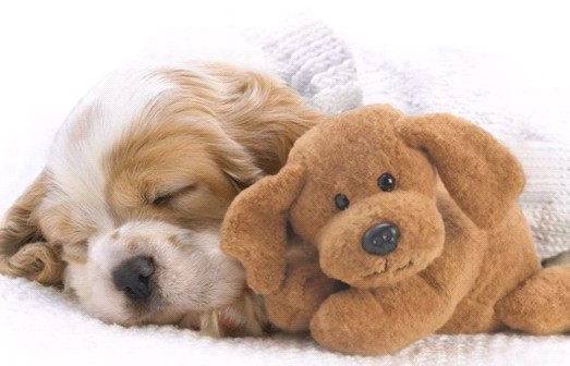 �H�������˯һС�r(sh��)����