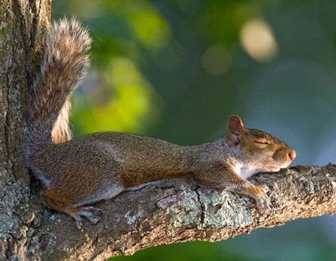 �H�������˯һС�r(sh��)����