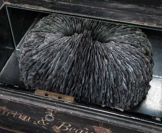 ��(chu��ng  )�����}����(d��ng)ϵ����ë����