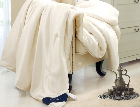 �Ӊ�(m��ng)�R�����˽��Q�z���ı�������