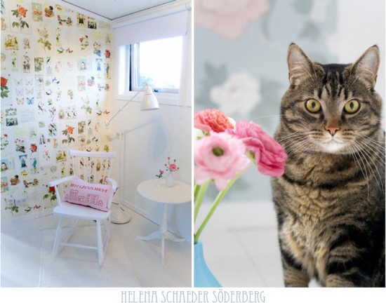 ���ˇ�g(sh��)��Helena��������(chu��ng  )��Ҿ�