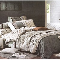 ����ӡ��