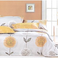 �p���w�P���S��