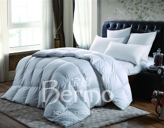 ���z�Ҽ�����¶���㡱��������