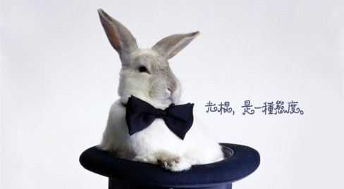 �󔵓���̣��R�Ƶġ��p11���������(sh��)�