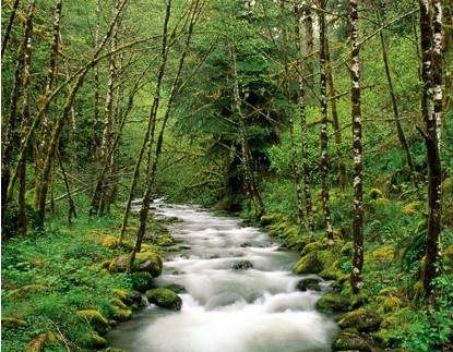 3D�Ҽ��o�Ҏ���(l��i)ȫ��ҕ�X(ju��)�_��