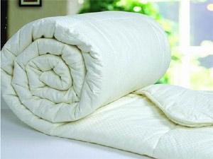 �������ُ�I(m��i)�ޱ���