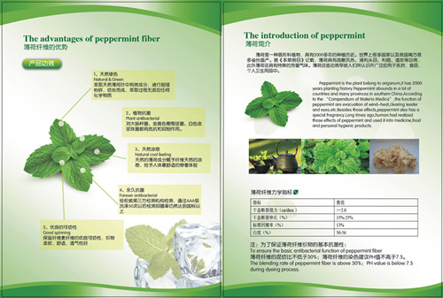 �ٲ��w�S�Ƽ�:���M(j��n)�ݱ�ֲ���²�������