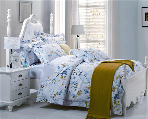 ���Ő�(��i)��ʥ���R