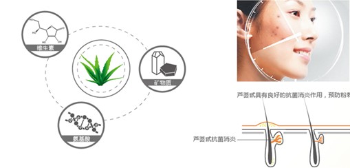 �{Ʒ�Ƽ�������Ȼ���B������