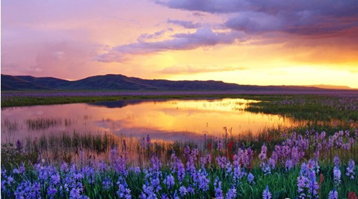 �W�ɼҼ����c����s����������