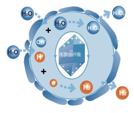 �{Ʒ�Ƽ���(y��u)�νz��Ů�ԼҼ� ���o����