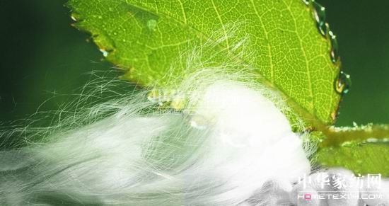 �V�������н��������Q�O��������