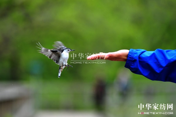 ��ُ��Ϋ@��͵����θ���