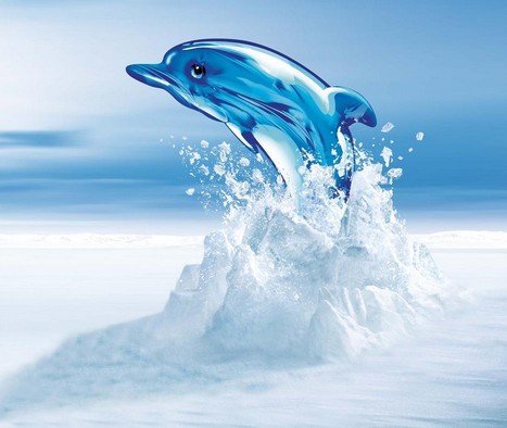 ���Ƶ����I(y��ng)�N(xi��o)����