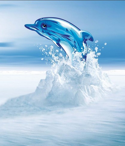 ���Ƶ����I(y��ng)�N(xi��o)����