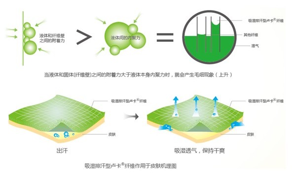 �ļ���Ʒ�o�B����ϴ��߀����