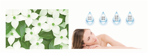 �{�׷���R���w�S���������z�y����ȫ�ɿ�