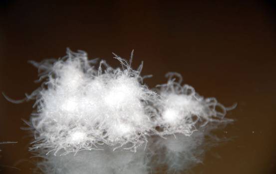 �W�ɼҼ����������u(m��i)�������xُ��Ʒ����q��