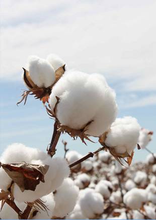 �W�ɼҼ������������ۼ���һ�ӵğ��