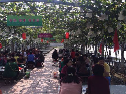 ����ף�R�W�ɼҼ�ƽ�ȵ�����λ��(d��ng)�A�M(m��n)�Y����