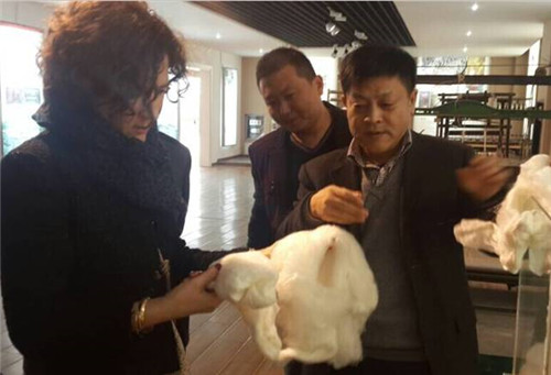 ��������̵����ýz�I��I(y��)����