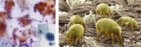 ���_�m�Ҽ�������˯��������˯��������