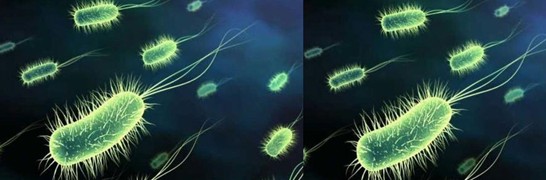 ���_�m�Ҽ�������˯��������˯��������