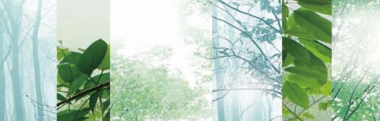 ���_�m���C�Ҽ���߀ԭ���Rԭ���B(t��i)ƽ��h(hu��n)��