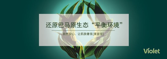 ����˯����ه(l��i)��Violet���C�Ҽ�