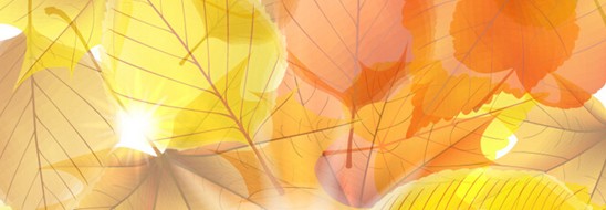 ����˯����ه(l��i)��Violet���C�Ҽ�