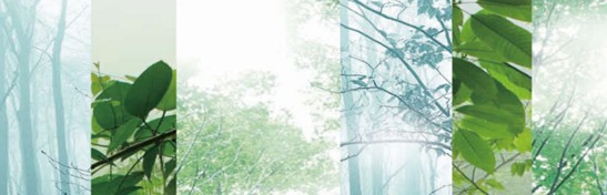 ����˯����ه(l��i)��Violet���C�Ҽ�