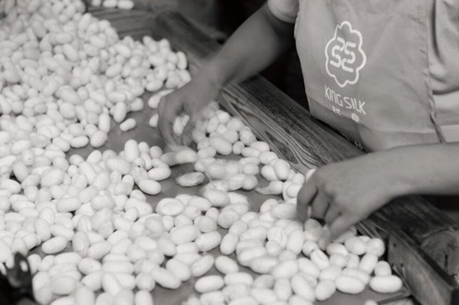 �vʹ�q�������X(qi��n)���ʐ�(��i)����������D