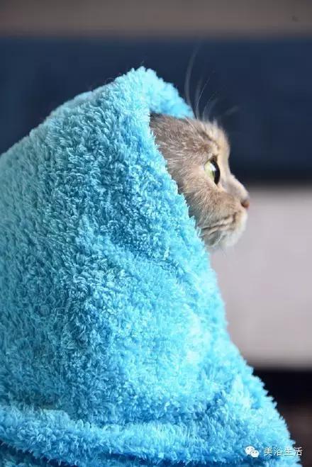 ��ԡ���ë�����Ԍ�����ë��Ҳ�����v����