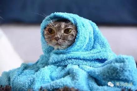 ��ԡ���ë�����Ԍ�����ë��Ҳ�����v����