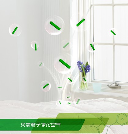 ���_�m�Ҽ���ɭ��������˯�ߡ����C���Сɭ��