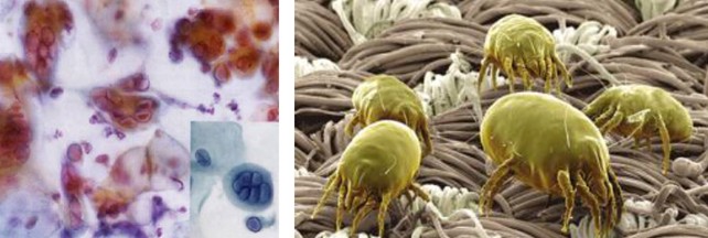 ���_�m���C�Ҽ������ܽ���˯��