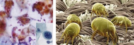 �ܽ^���f(w��n)���x(ch��ng)�����x���_�m���C�Ҽ�