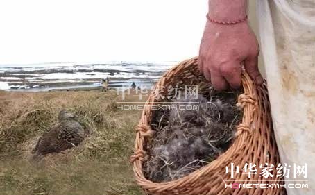 ������27�f(w��n)�I(m��i)�²���Ҽ�"����"��"����"��