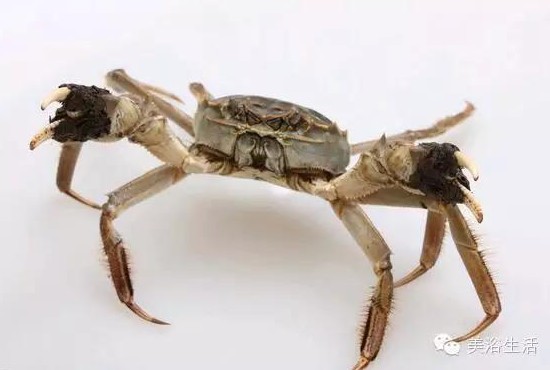 ��ԡ����Â���Ĵ��lз��з�S��ʳ��зȯ������з��������ë����