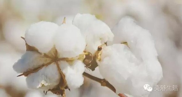 ��ԡ���Փһ�lë�����������B��