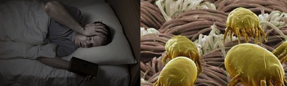 ���z�R�����_(k��i)�����B(t��i)���ܼҾ�4.0�r(sh��)��