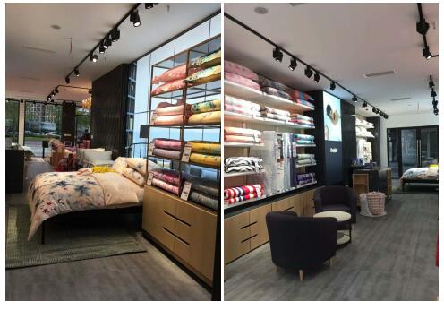 �y�ֱ����خa(ch��n)��ϲ��(��i)�Ҽ��Ĵ���(chu��ng  )�x��