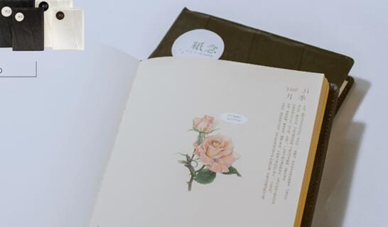 �����������˹�����Đ�(��i)��ֵ��һ�݌�(zhu��n)�ٵĶYƷ