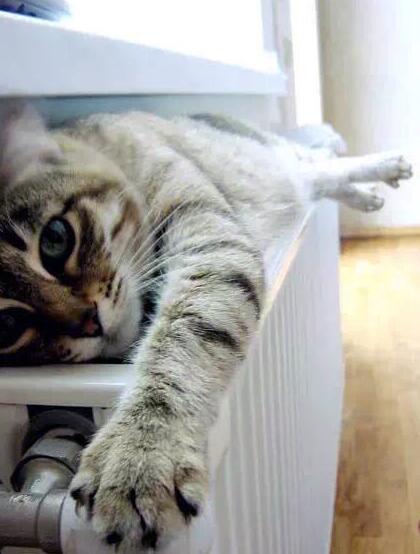 Ϧ�̽z�I�W(xu��)�á������f(shu��)