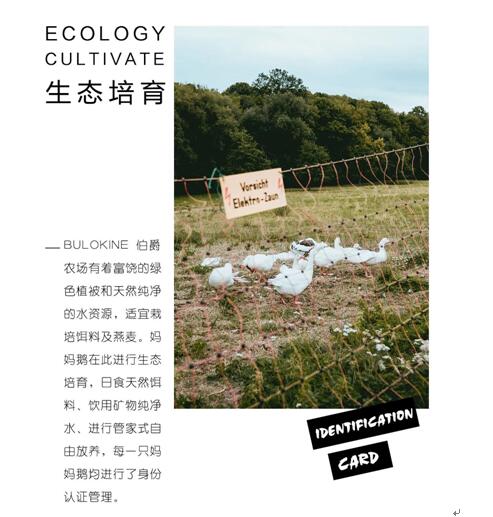 ����Ҽ����m�����q���¾��p��������